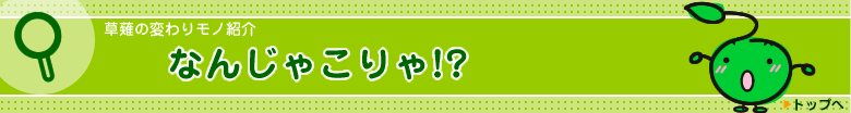 草薙の変わりモノ紹介　なんじゃこりゃ！？